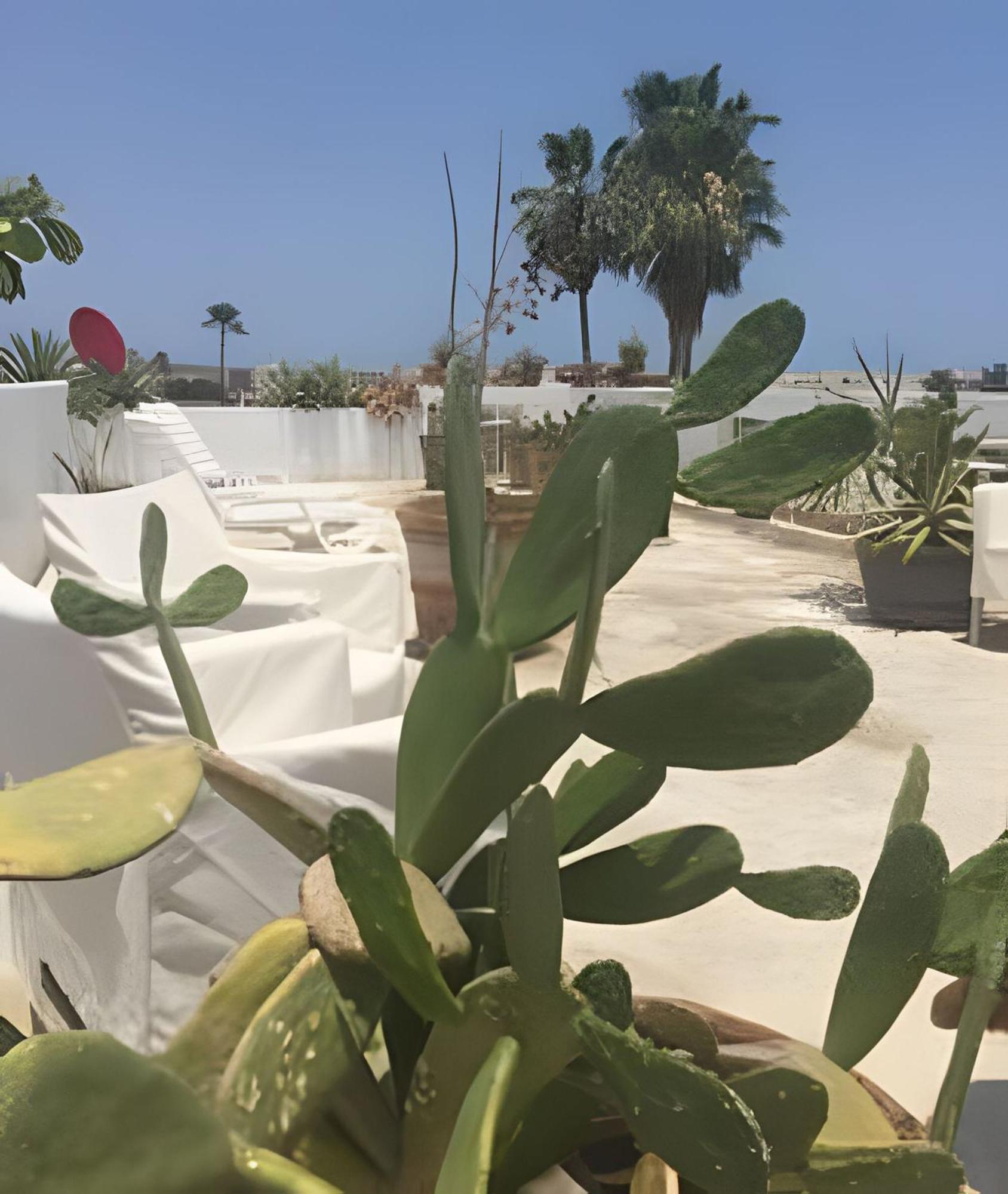 Appartement 12 De Octubre à Cabo San Lucas Extérieur photo